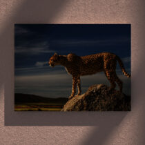 Tablou canvas Leopard