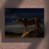 Tablou canvas Leopard